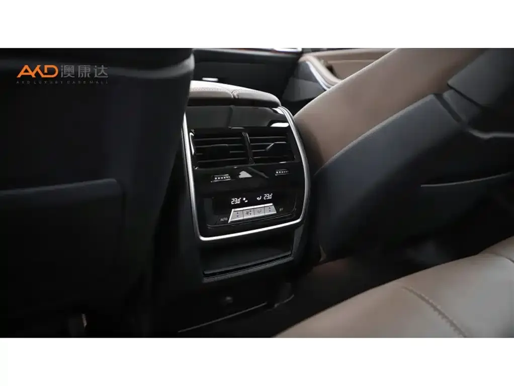 BMW X5 (Import) 2021 из CN, фото 2