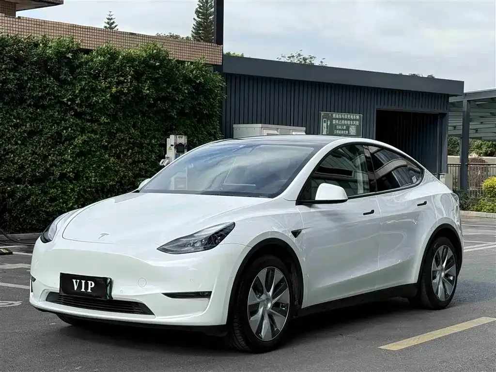 Tesla Model Y — фото 1