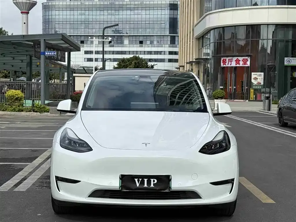 Tesla Model Y — фото 2