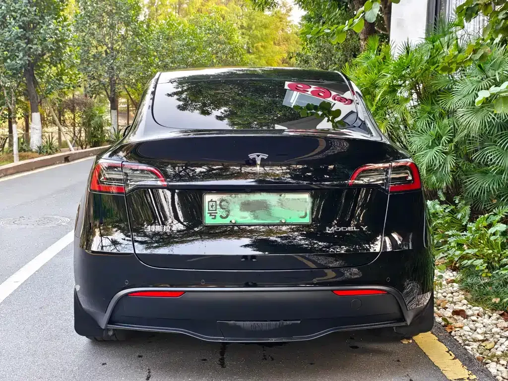 Tesla Model Y — фото 8