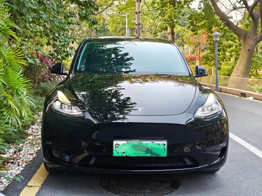Tesla Model Y — фото 10