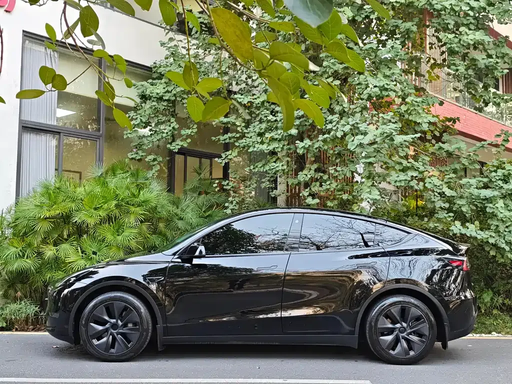 Tesla Model Y — фото 5
