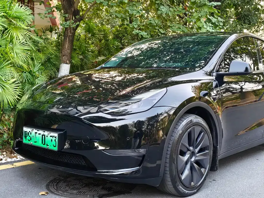 Tesla Model Y — фото 9