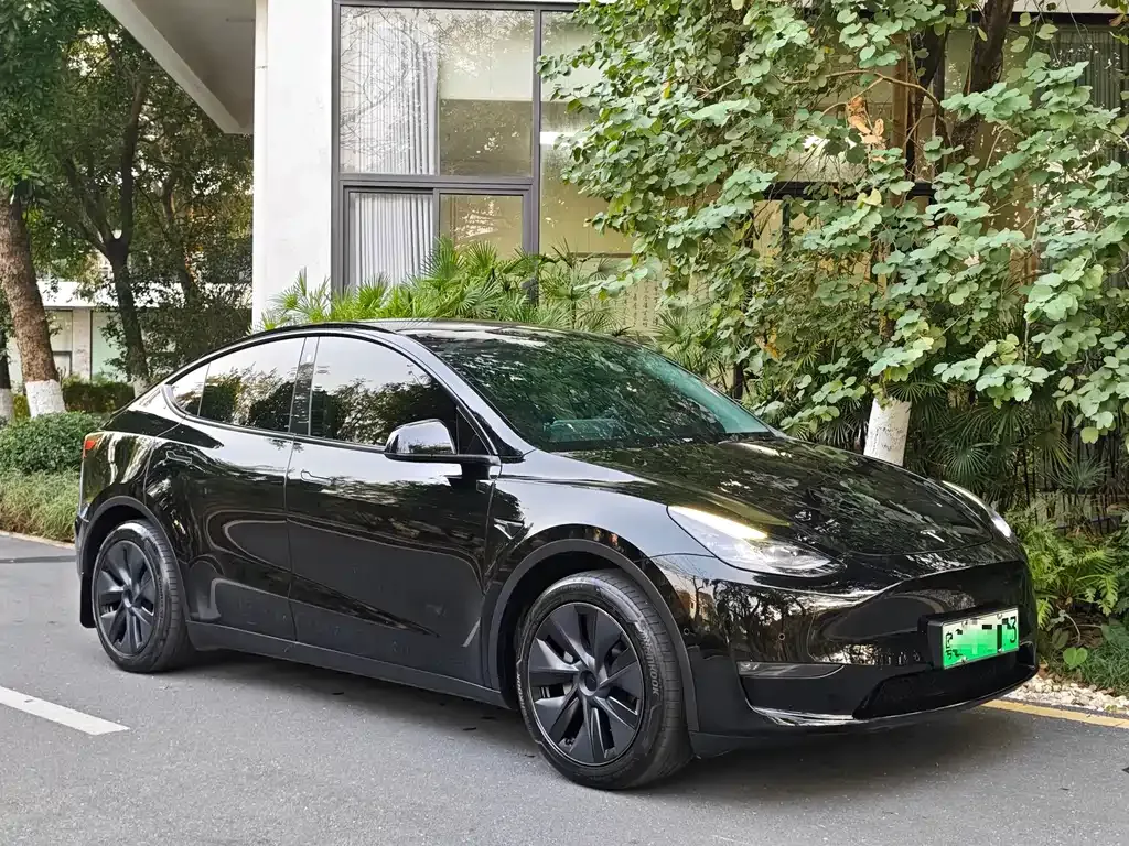 Tesla Model Y — фото 7