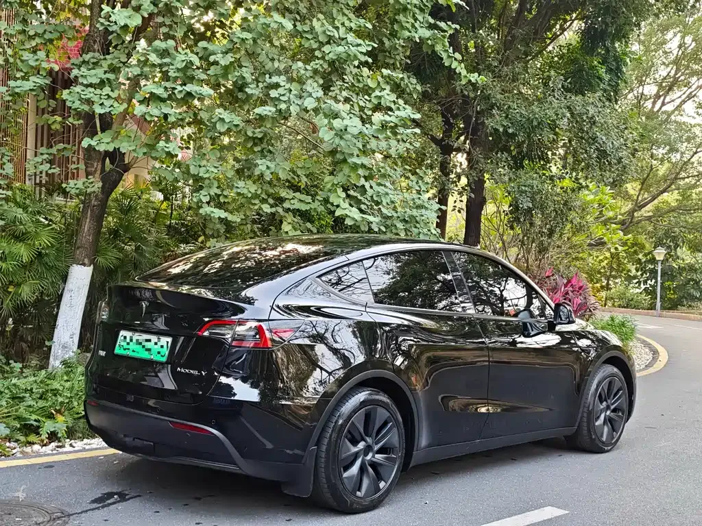 Tesla Model Y — фото 6