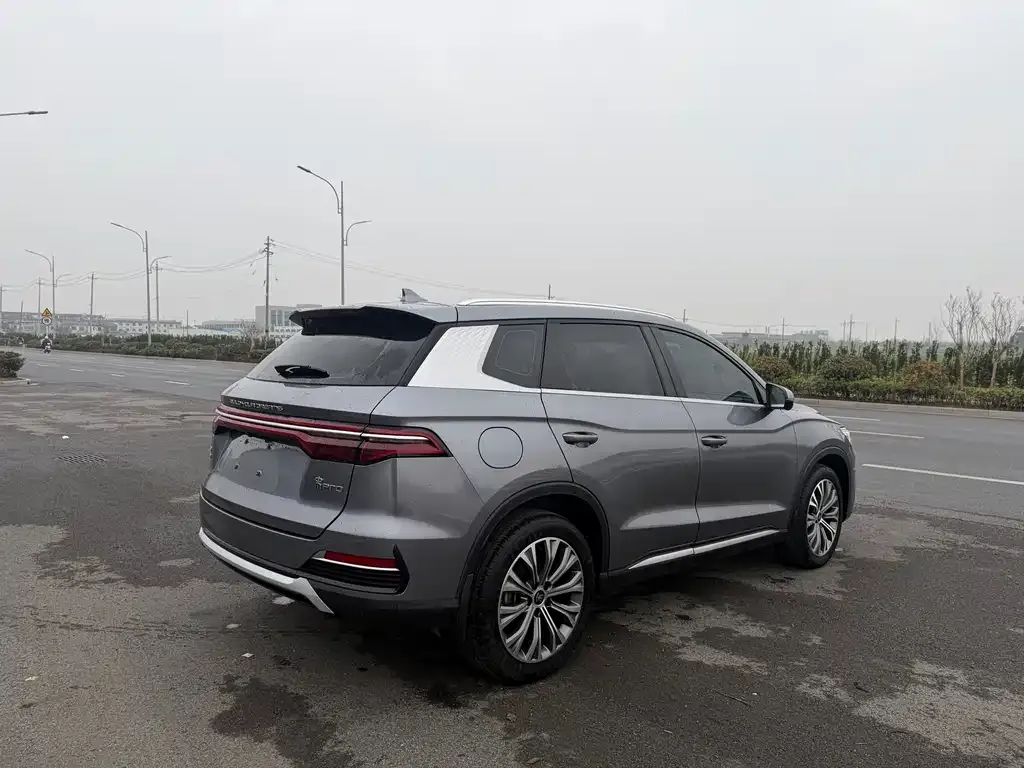BYD Pro New Energy — фото 8
