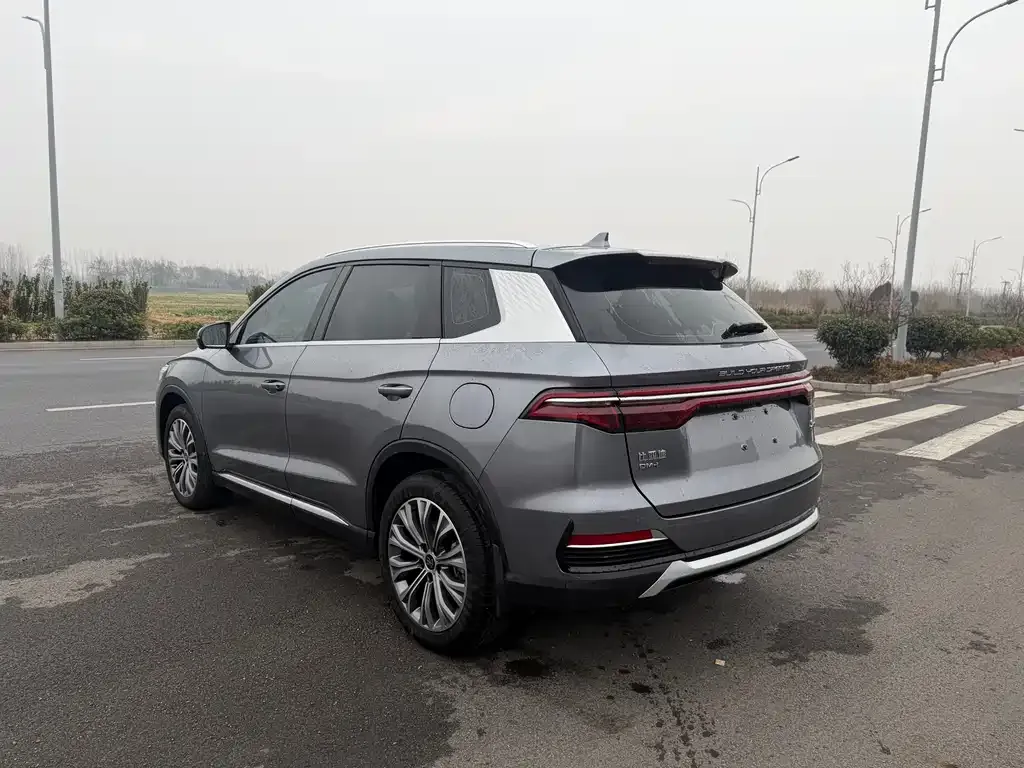 BYD Pro New Energy — фото 6