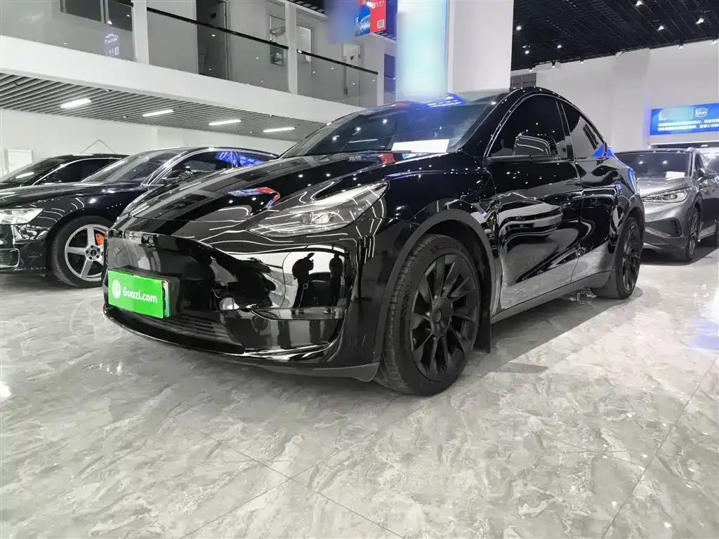 Tesla Model Y — фото 2