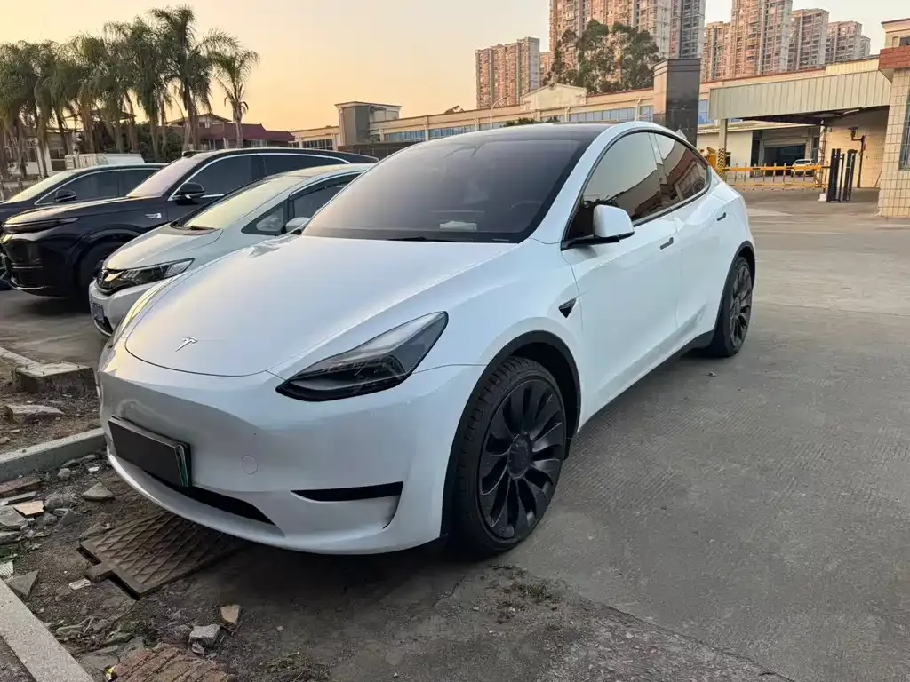 Tesla Model Y — фото 1
