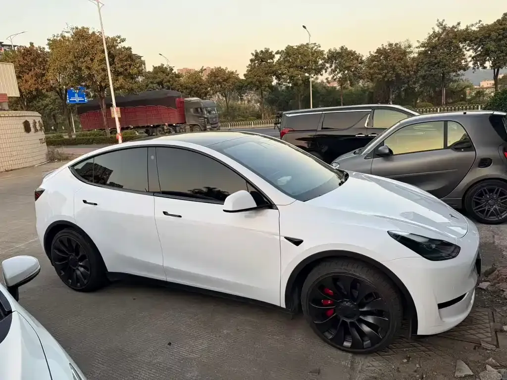 Tesla Model Y — фото 9