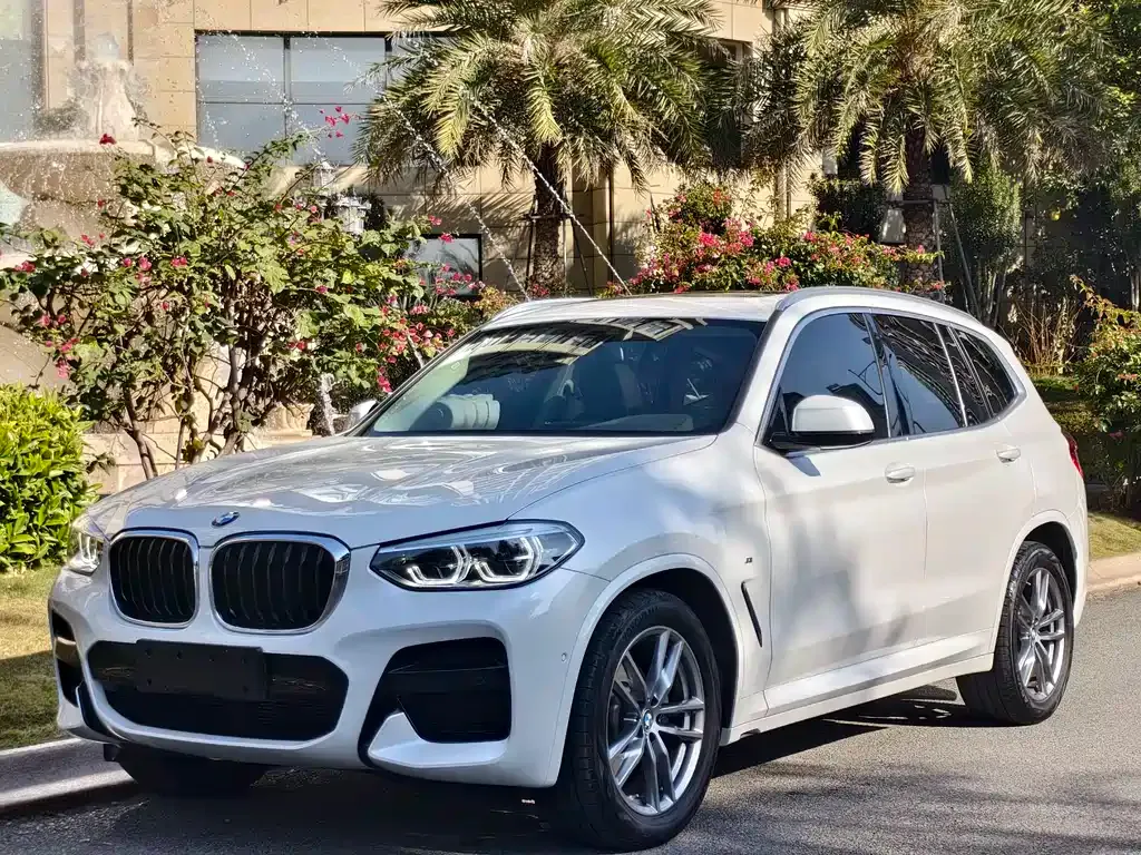 BMW X3 — фото 1