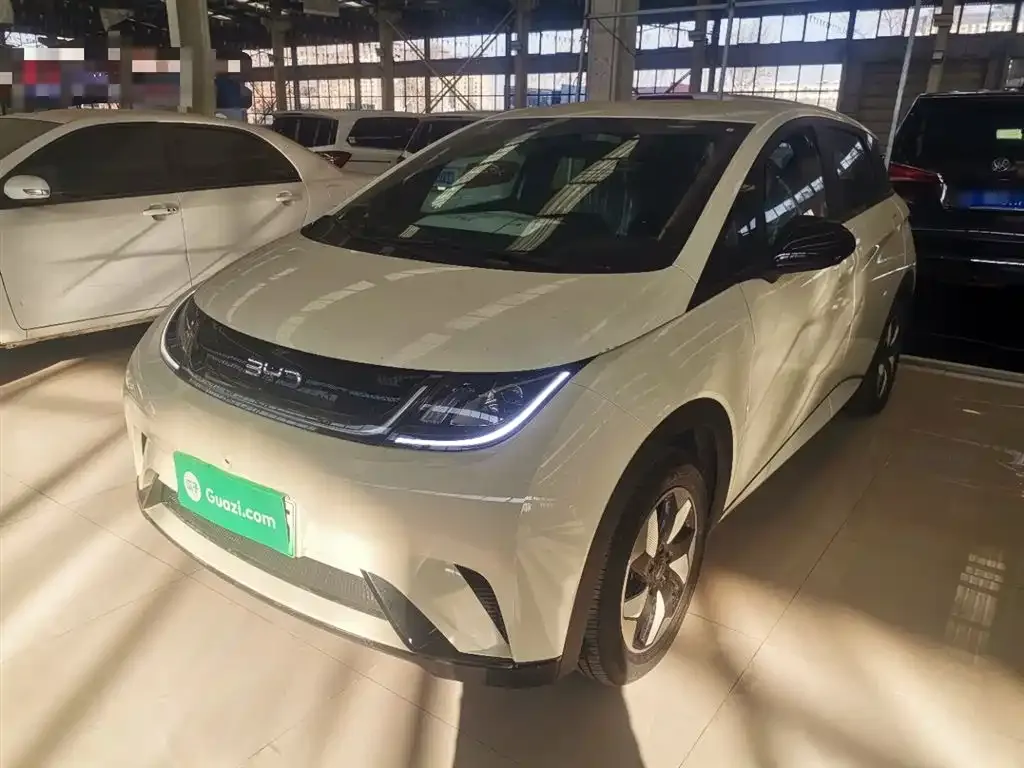 BYD Dolphin 2025 из CN, фото 4