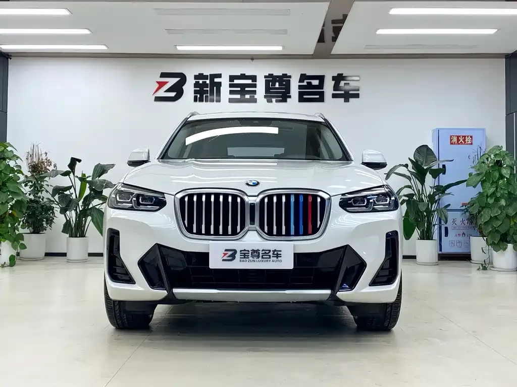 BMW X3 2023 из CN, фото 3