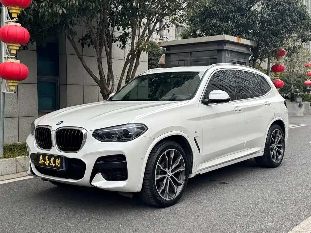 BMW X3 2021 из CN, фото 7