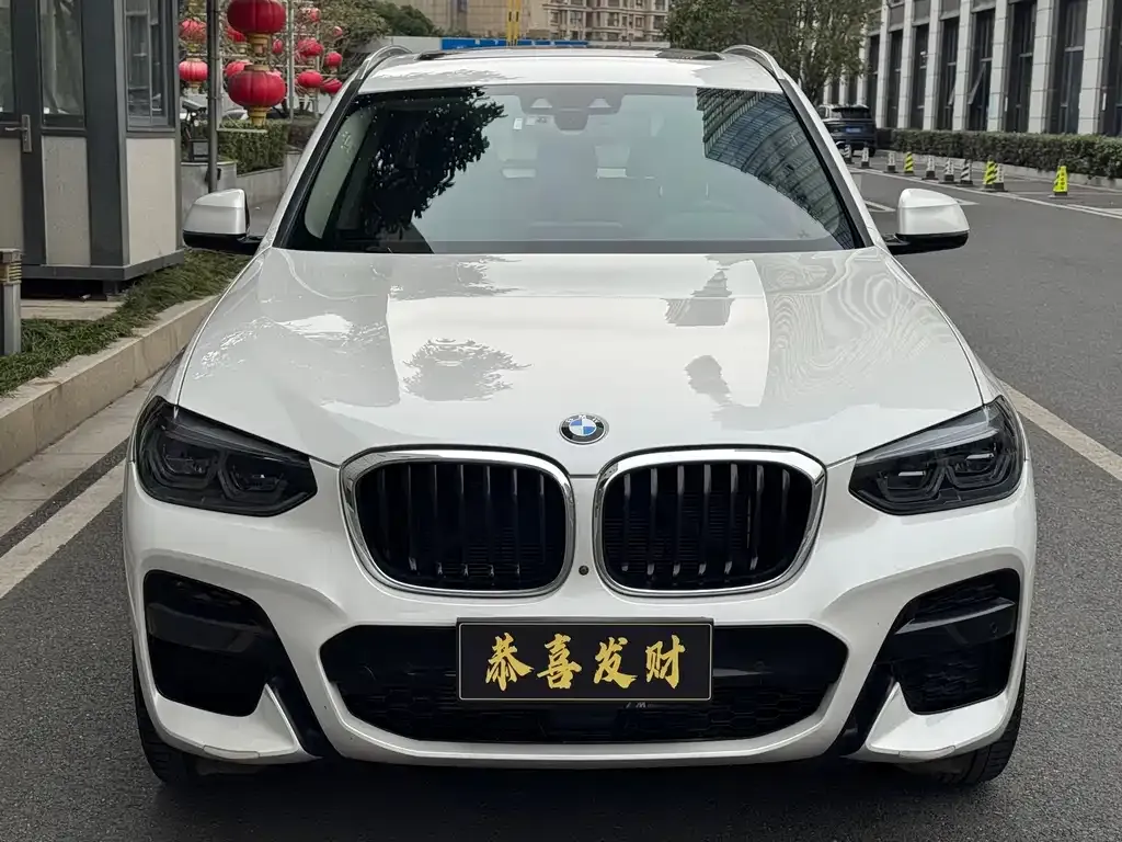 BMW X3 2021 из CN, фото 6
