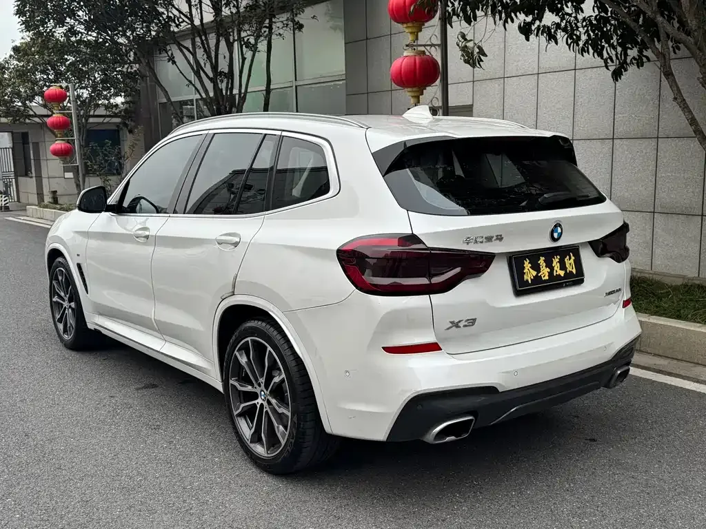 BMW X3 2021 из CN, фото 9
