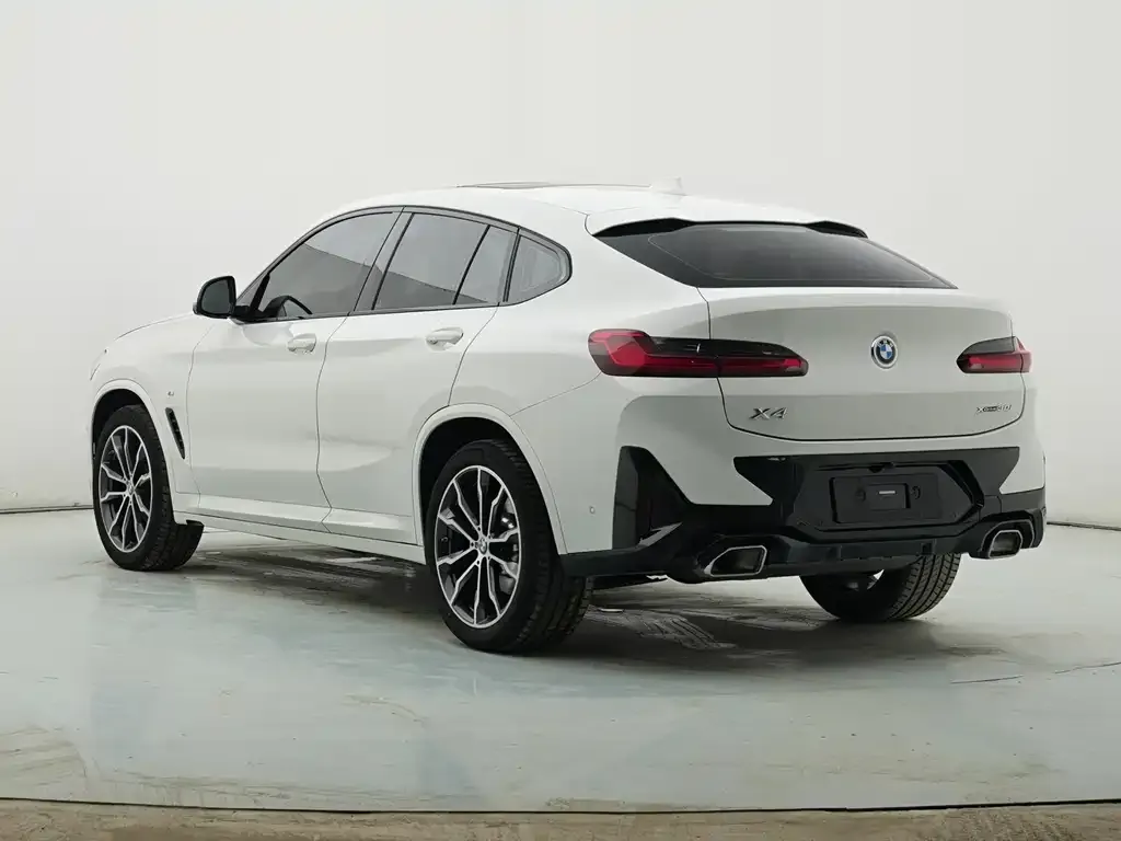 BMW X4 2023 из CN, фото 7