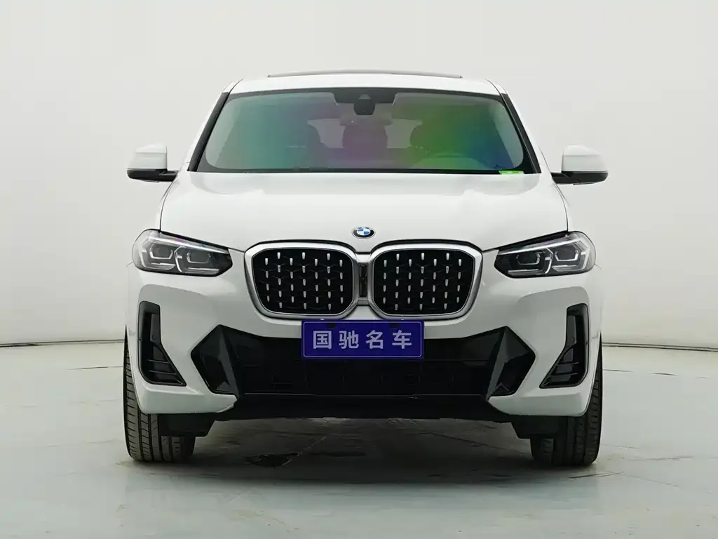 BMW X4 2023 из CN, фото 2