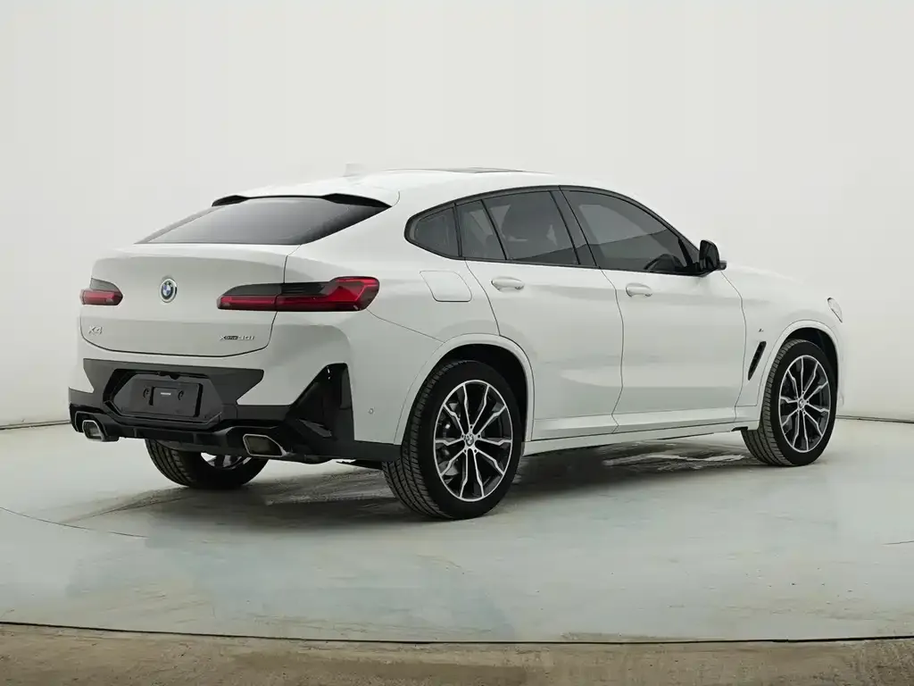 BMW X4 2023 из CN, фото 6