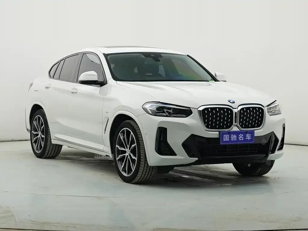 BMW X4 2023 из CN, фото 9