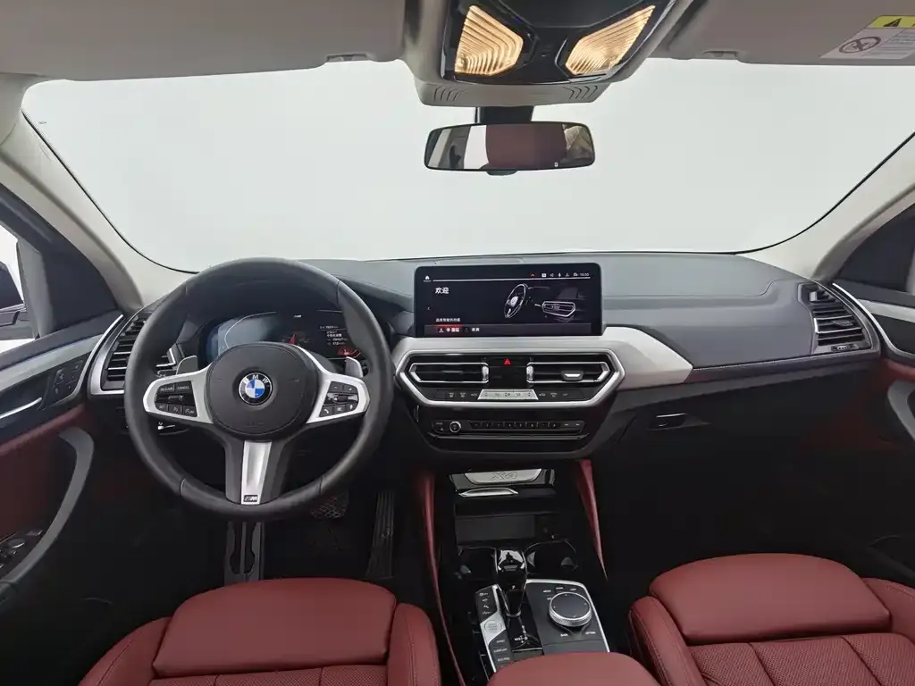 BMW X4 2023 из CN, фото 4