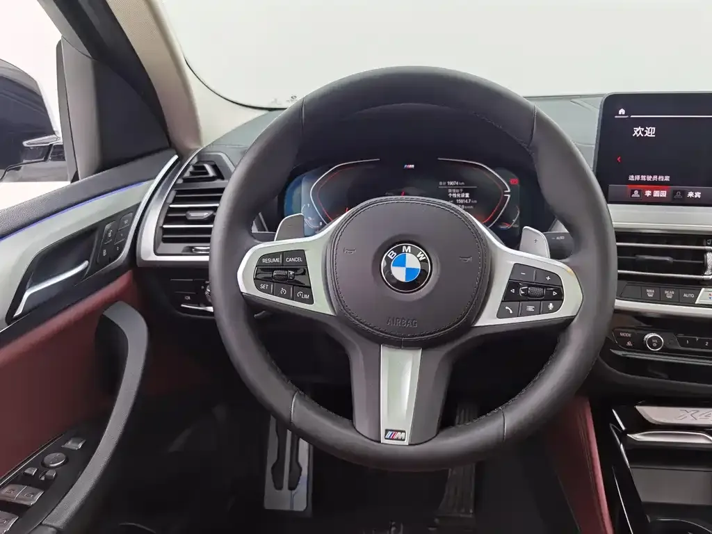 BMW X4 2023 из CN, фото 8