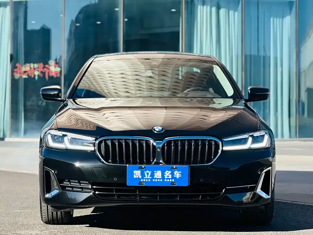 BMW 5 Series 2023 из CN, фото 10