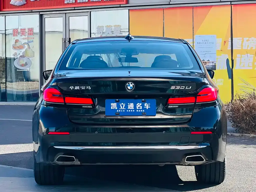 BMW 5 Series 2023 из CN, фото 3