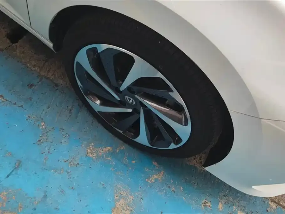 Changan Ruicheng PLUS 2023 из CN, фото 7