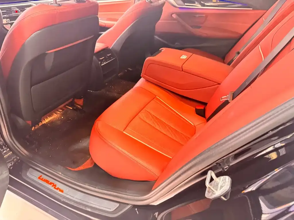 BMW 5 Series 2023 из CN, фото 4