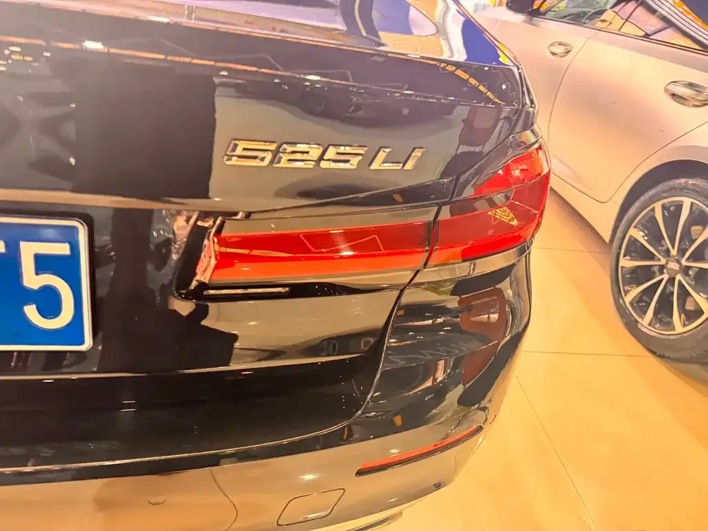 BMW 5 Series 2023 из CN, фото 8