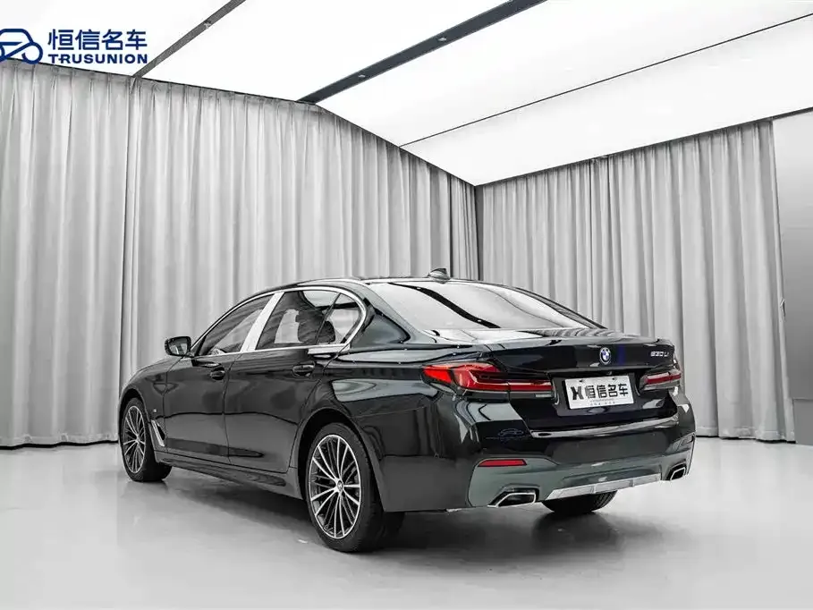 BMW 5 Series 2022 из CN, фото 6