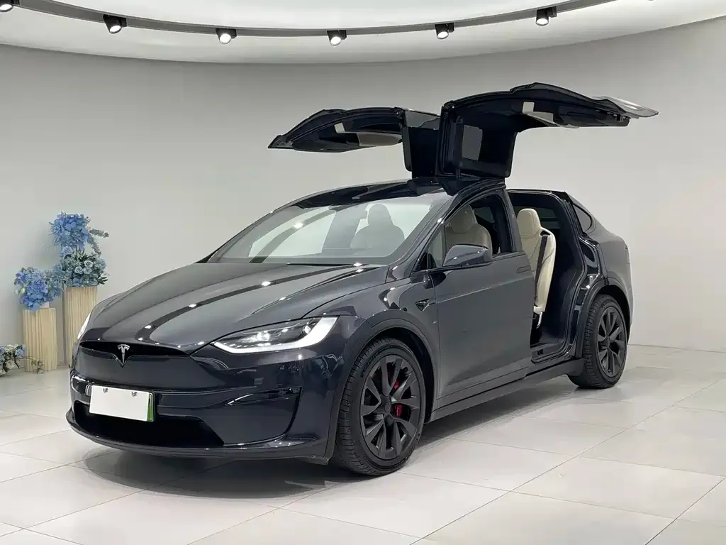 Tesla Model X 2023 из CN, фото 1