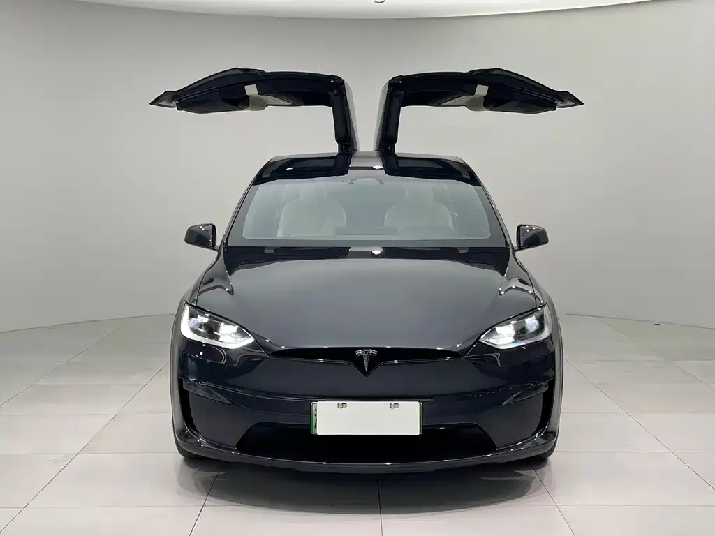 Tesla Model X 2023 из CN, фото 2
