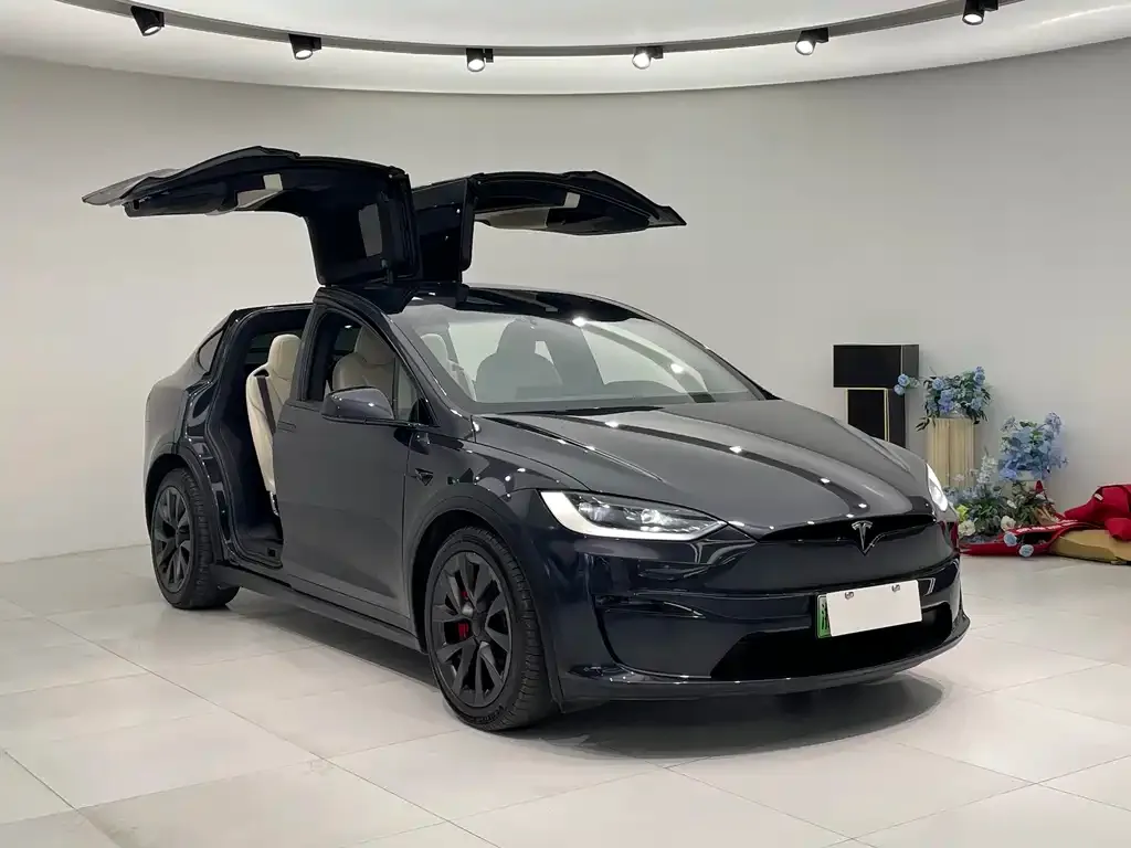 Tesla Model X 2023 из CN, фото 8