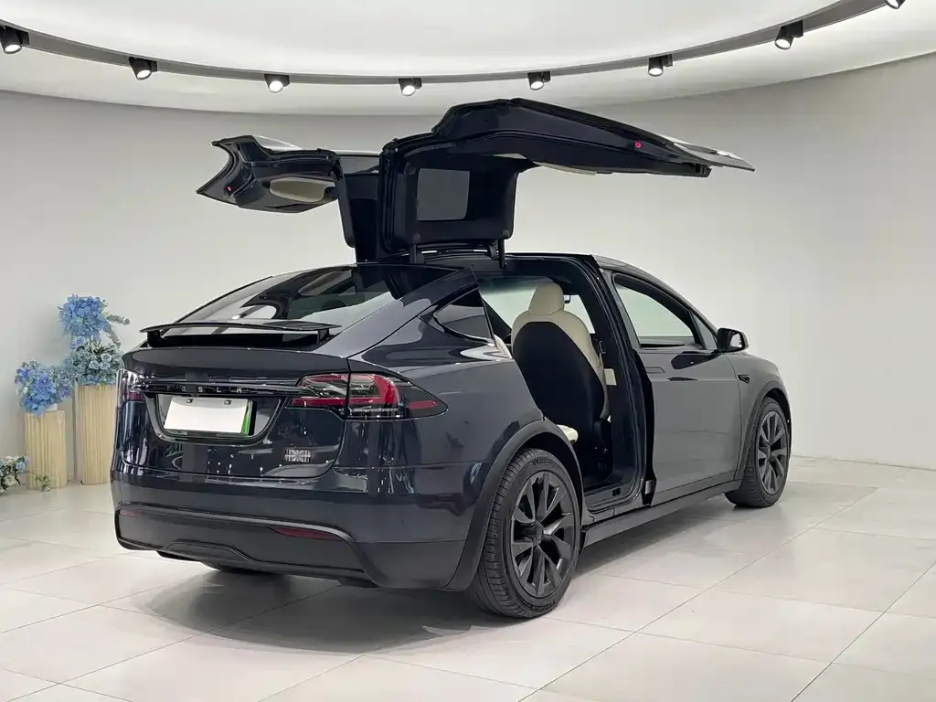 Tesla Model X 2023 из CN, фото 4