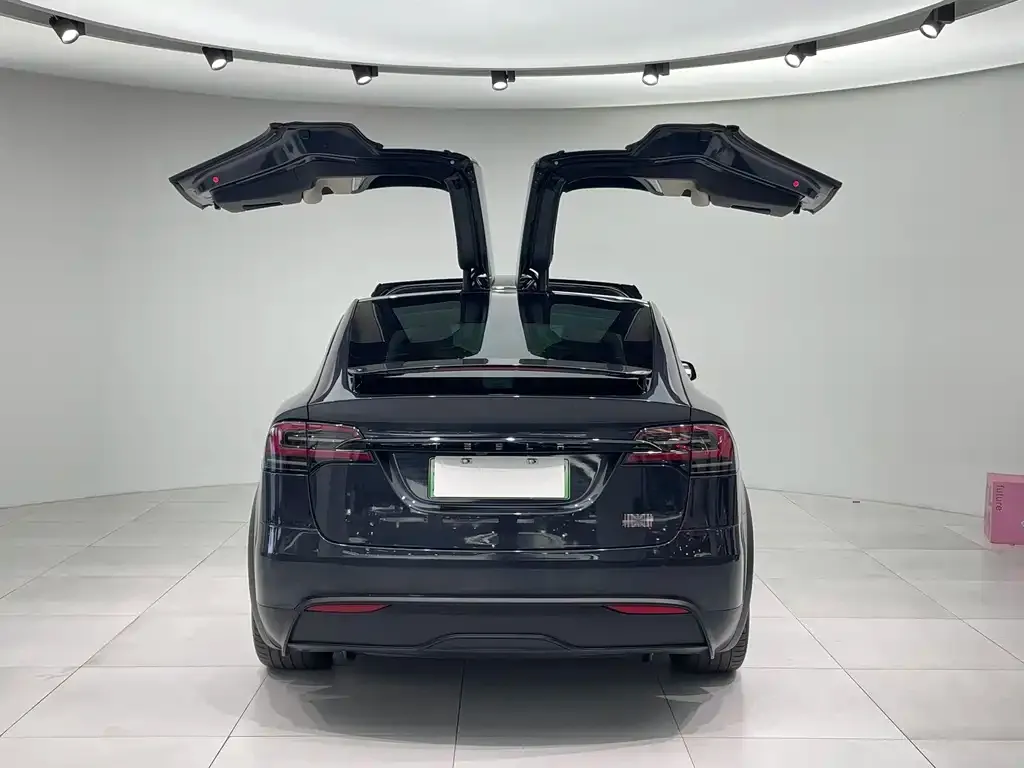 Tesla Model X 2023 из CN, фото 3