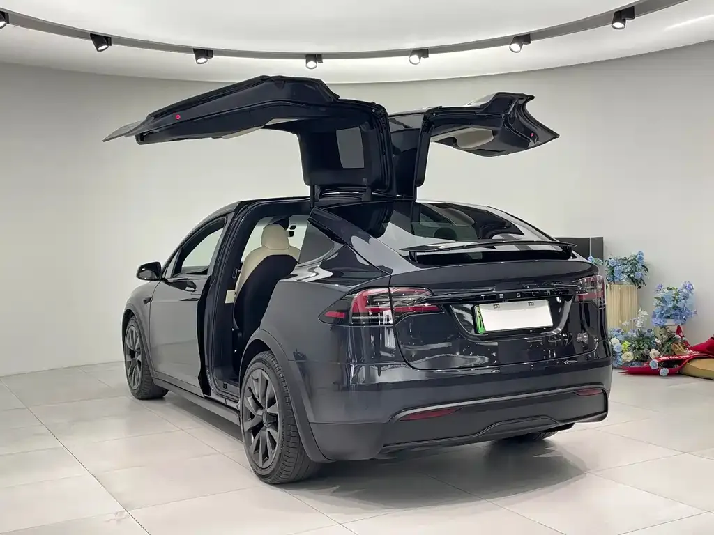 Tesla Model X 2023 из CN, фото 5