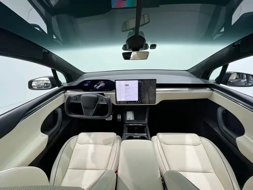 Tesla Model X 2023 из CN, фото 9