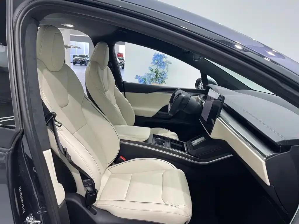Tesla Model X 2023 из CN, фото 6