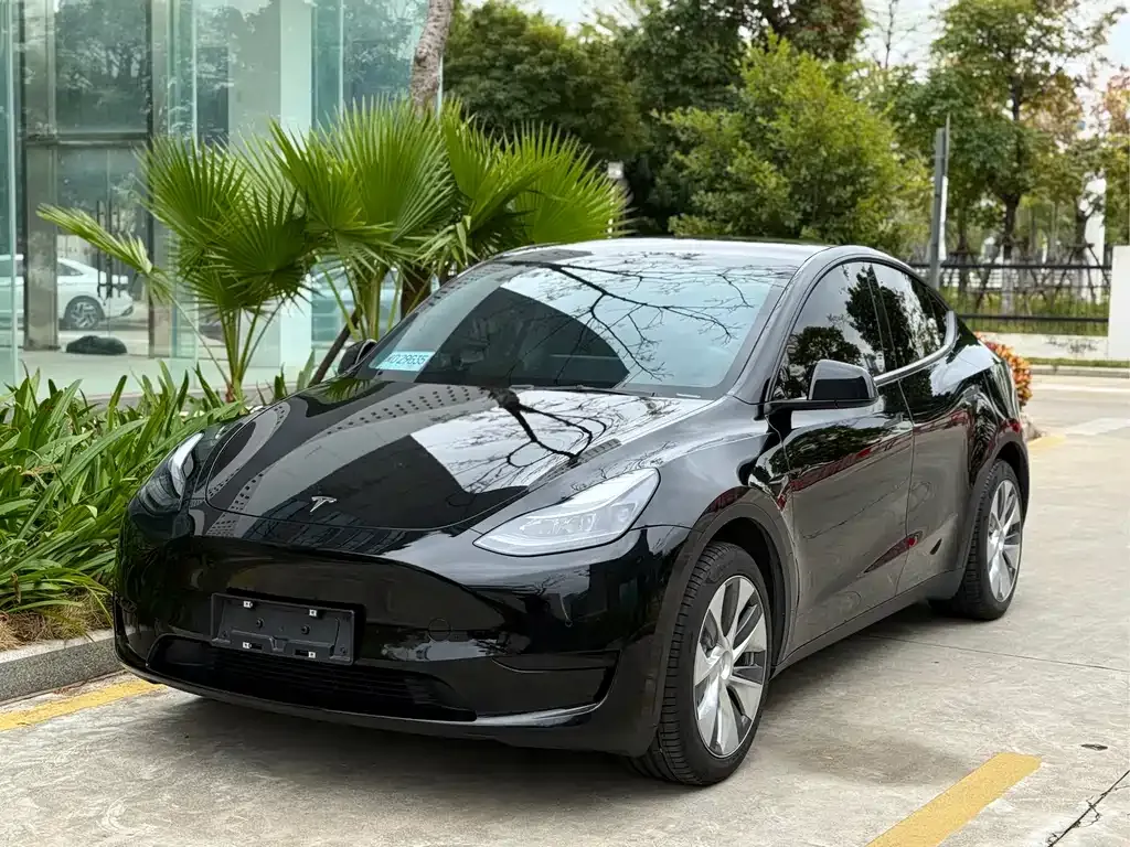 Tesla Model Y 2023 из CN, фото 1