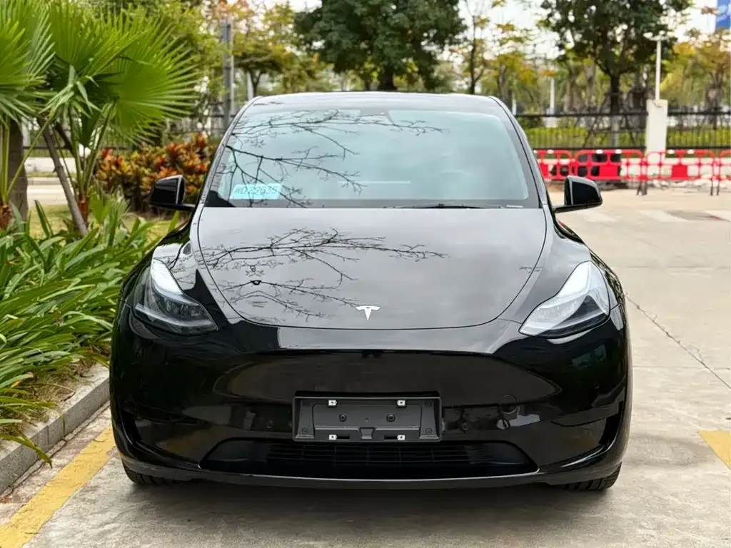 Tesla Model Y 2023 из CN, фото 2