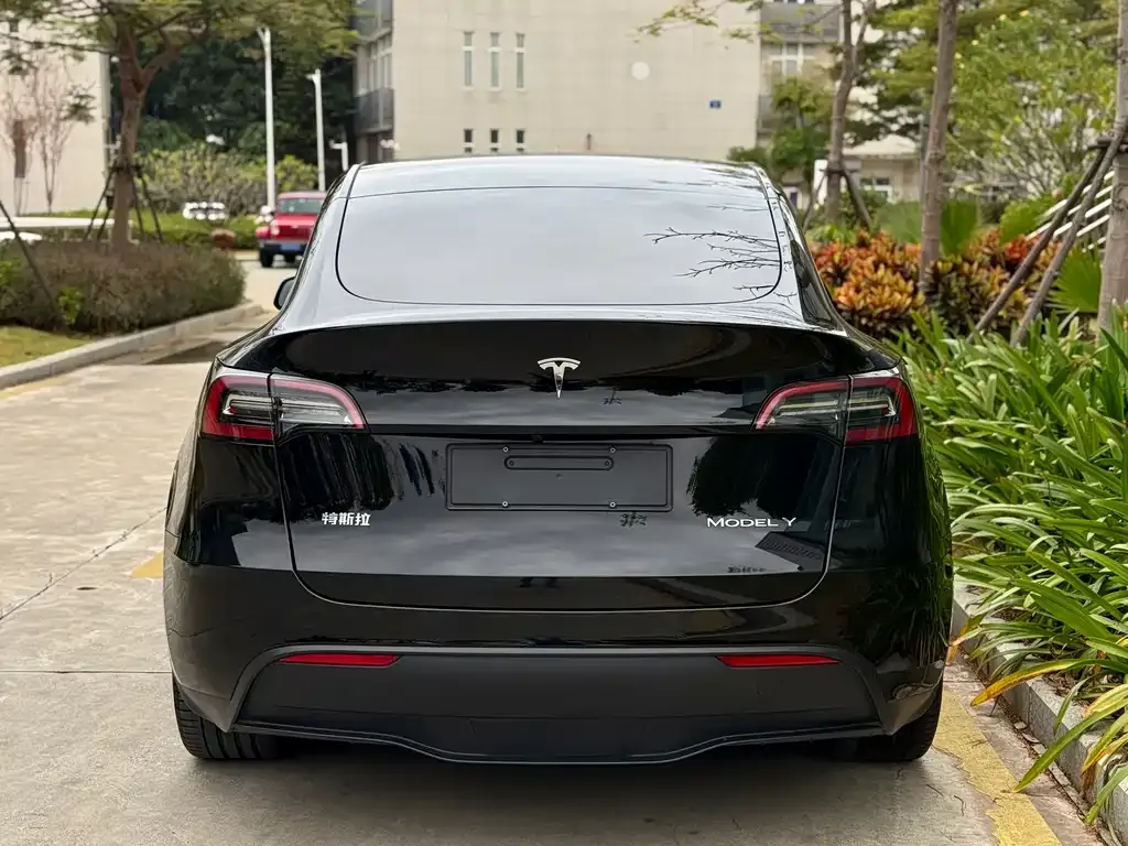 Tesla Model Y 2023 из CN, фото 4