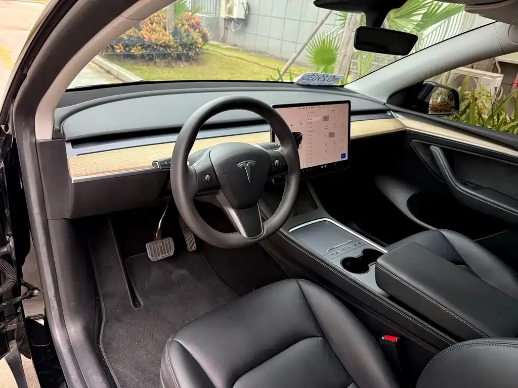 Tesla Model Y 2023 из CN, фото 5