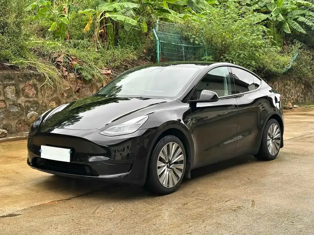 Tesla Model Y 2022 из CN, фото 1