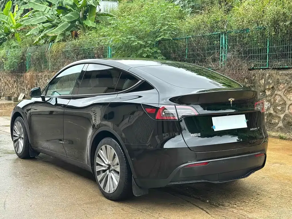 Tesla Model Y 2022 из CN, фото 9