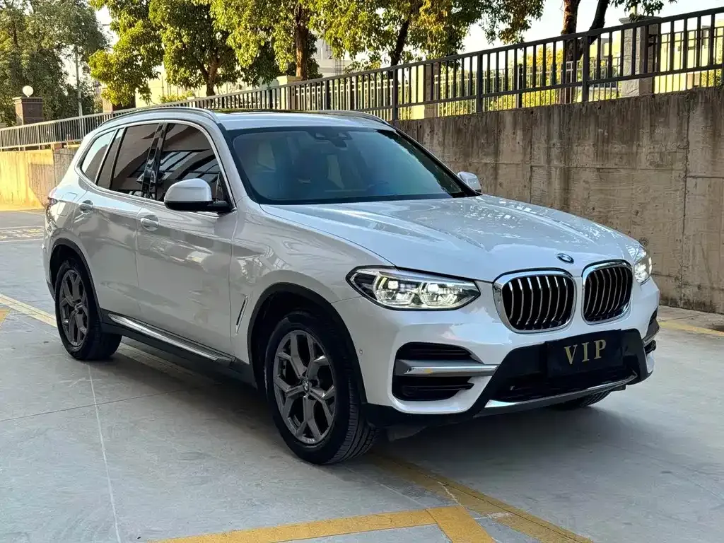 BMW X3 2021 из CN, фото 6