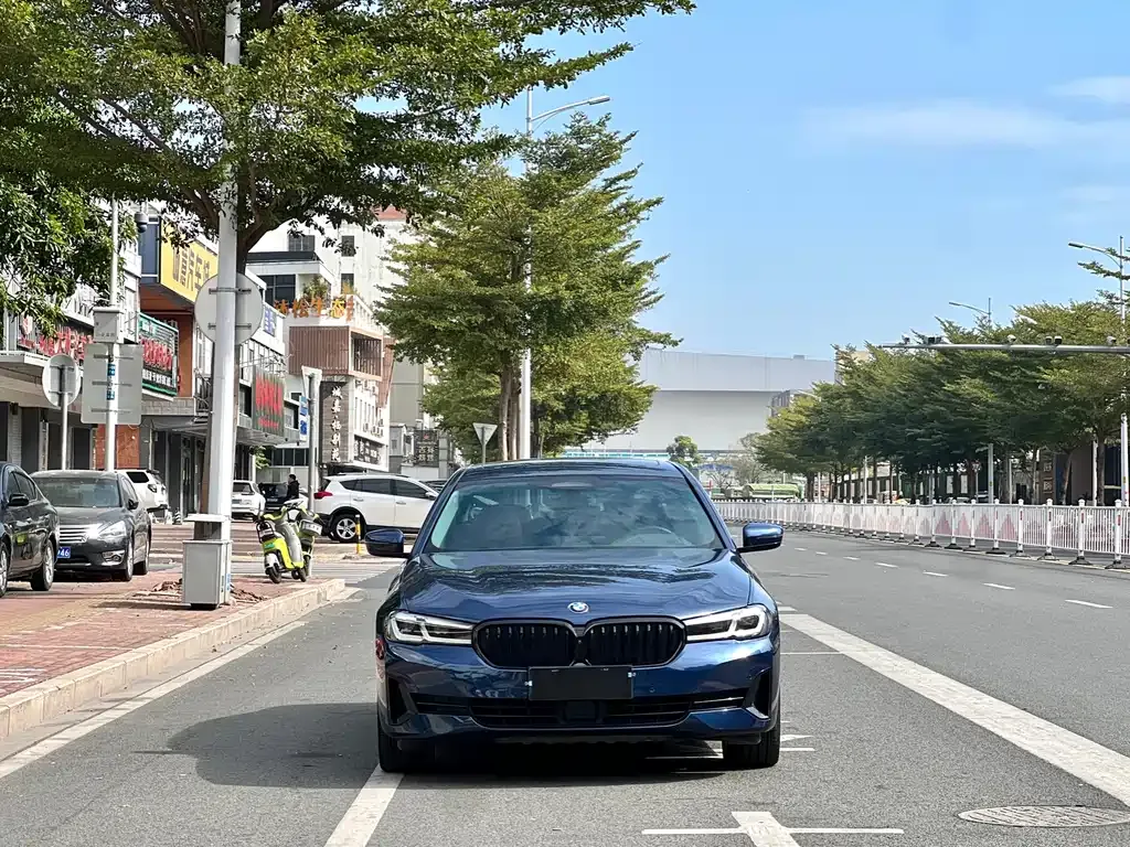 BMW 5 Series 2022 из CN, фото 4