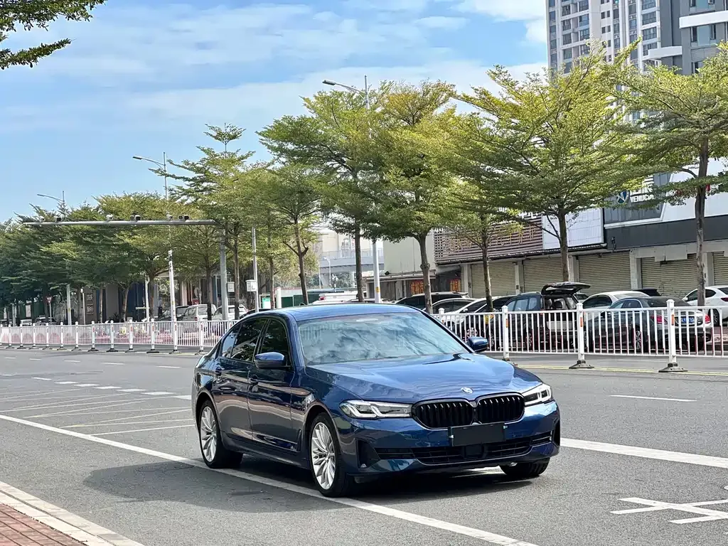 BMW 5 Series 2022 из CN, фото 8
