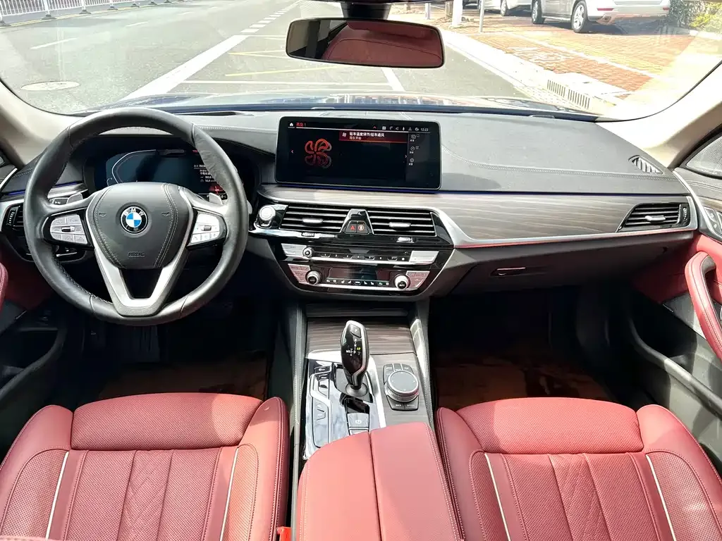 BMW 5 Series 2022 из CN, фото 7